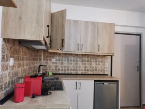 Η κουζίνα ή μικρή κουζίνα στο A&A Alexadroupoli +12 φωτογραφίες