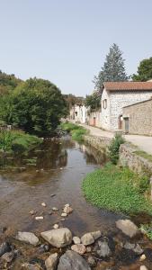 a river with rocks and buildings on the side at Le Poulailler in Blesle