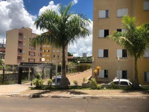 a street with palm trees in front of a building at Apartamento climatizado in Marília