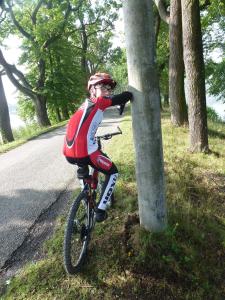 Attività di ciclismo presso the country house o nelle vicinanze