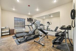 Fitness centrum a/nebo fitness zařízení v ubytování Cobblestone Hotel & Suites - Alpine