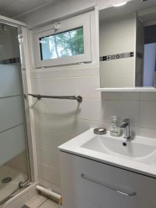 Un baño con lavabo, ducha y espejo. en La Feuilleraie, en Tours