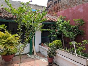 Billede fra billedgalleriet på Casa Trespalacios i Mompox