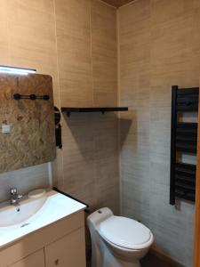 a bathroom with a toilet and a sink at Le BENEZE entre Beauce et Perche in Saint-Hilaire-sur-Yerre +23 photos