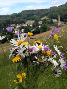 Paesaggio naturale nelle vicinanze dell'appartamento