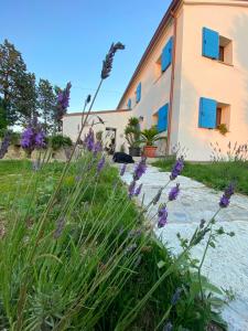 Φωτογραφία από το άλμπουμ του Villa Pleiadi σε Casa Albonetti