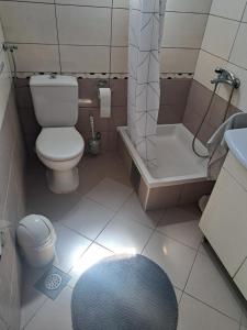 a bathroom with a toilet and a shower and a sink at Smještaj Latica in Vela Luka +22 photos