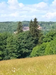 Příroda nedaleko apartmánu