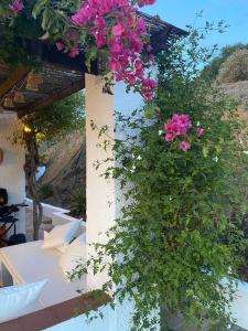 Gallery image of Finca Angelita in Torrox