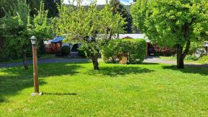 Zahrada ubytování Los Frutales