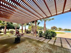 イカにあるLa Finca Icaの日よけとヤシの木とプールのあるパティオ