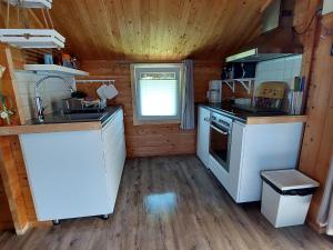 a small kitchen with a stove and a sink at Bungalow in Klein Str mkendorf in Klein Strömkendorf