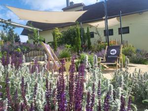 un giardino con fiori viola e bianchi di fronte a un edificio di Hotel Restovna a Jíloviště