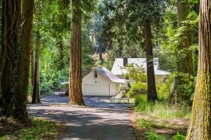 a house in the middle of a road with trees at Riverwood Retreat in West Linn