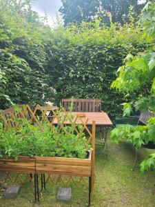 une table et un banc en bois avec une jardinière de plantes dans l'établissement Kiepe im Münsterland, à Nordwalde 1 autre photo