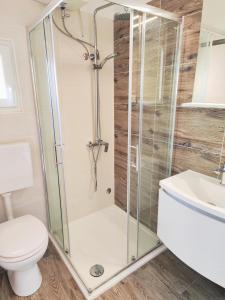 a bathroom with a shower and a toilet at Antoni Apartment in Lastovo +41 photos