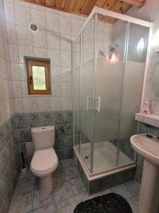 a bathroom with a shower and a toilet and a sink at Domek nad jeziorem Głębokie in Głębokie