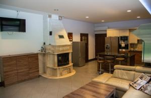 a large living room with a kitchen and a fireplace at Ostoja in Janów Lubelski
