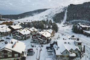 Spacious alpine flat in center of Levi! v zimě