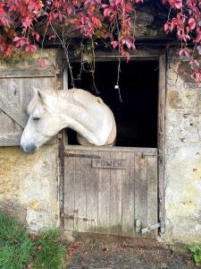 Gallery image of The Yard at Borough Farm in Lifton