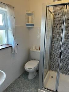 a white bathroom with a toilet and a shower at Sheilin House Waterville in Waterville