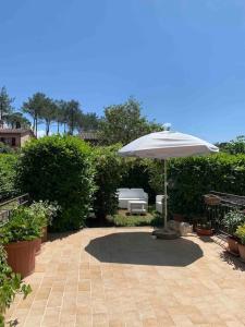 un patio con sombrilla y algunas plantas en La casa di Gaga - Appartamento nel Chianti senese, en Ponte A Bozzone