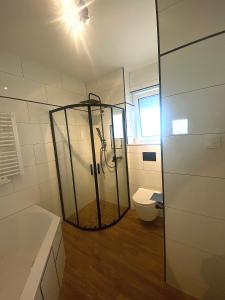 a bathroom with a shower and a toilet in it at Naturnahe Wohnung in Zettingen A in Zettingen +6 photos
