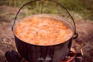 a pot of food is cooking on a campfire at Starry Night Retreat in Subcetate