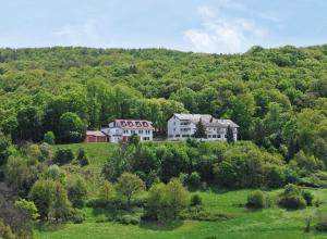 Gallery image of Burg-Hotel in Obermoschel