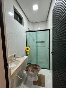 a bathroom with a shower and a toilet and a sink at JM Pousada Barreirinhas MA in Barreirinhas +7 photos