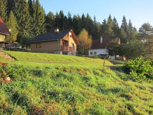 a house on the side of a grassy hill at Chata OSTRUZINA 10+2 in Lipno nad Vltavou