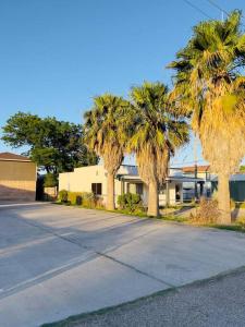 a house with palm trees on the side of a street at Retro Place - 2 bedroom & 1 bathroom - GREAT VALUE in Eagle Pass