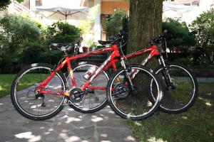 Jazda na bicykli v okolí ubytovania Albergo Miramonti