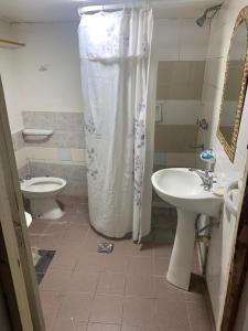マラルグエにあるAlojamiento la Nonaのシャワー、洗面台、トイレ付きのバスルーム