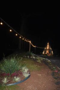 a garden at night with lights and a tent at Chalé das Laranjeiras in Planalto +4 photos