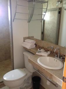 a bathroom with a toilet, sink and mirror at Hotel Dajana Boulevard in León