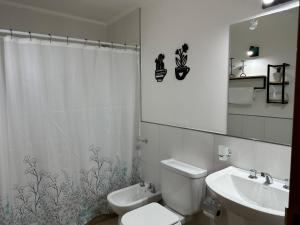 Un baño con inodoro, lavabo y espejo. en Departamento Mallin Azul, en El Bolsón 7 fotos más