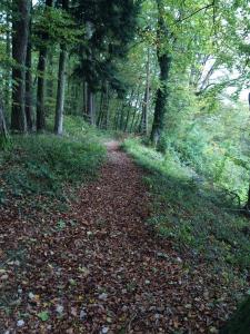 Un paisaje natural cerca of the bed and breakfast