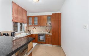 Kuchyň nebo kuchyňský kout v ubytování 3 Bedroom Nice Home In Veprinac