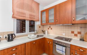 Kuchyň nebo kuchyňský kout v ubytování 3 Bedroom Nice Home In Veprinac
