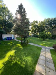 a garden with a tree and a sidewalk at Schönes 2 Zimmer Apartment an der Stadt Grenze mit Klimaanlage in Blankenfelde