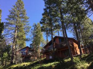 una casa en el bosque con árboles en The Pines Resort & Conference Center en Bass Lake