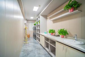 南京瑞澜庭院酒店(南京博物院店)的一间带水槽和盆栽植物的浴室