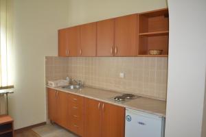 a kitchen with wooden cabinets and a sink at Apartments Tanja in Banja Koviljača