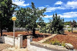 Afbeelding uit fotogalerij van Casa dei Frutti di Ostuni in Ostuni