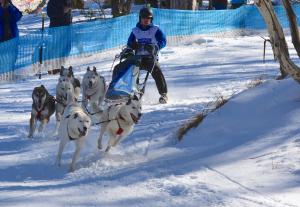 un hombre está tirando de un grupo de perros en la nieve en Vertical Limit, en Dinner Plain