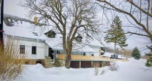 Billede fra billedgalleriet på Chalupa na Vojtíškově i Malá Morava + 35 billeder