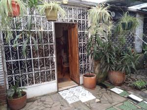 Zahrada ubytování Casa Viva apartaestudio terraza II