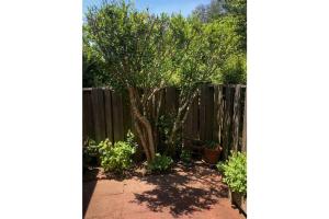 Galeriebild der Unterkunft Walk To Beach - Bright, Pond-Facing 2BR Leisurama in Montauk