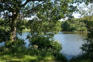 Galeriebild der Unterkunft Walk To Beach - Bright, Pond-Facing 2BR Leisurama in Montauk + 15 Fotos